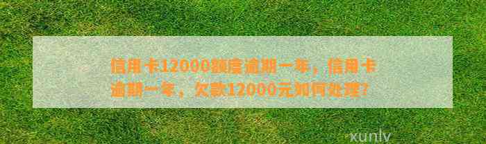 信用卡12000额度逾期一年，信用卡逾期一年，欠款12000元如何处理？