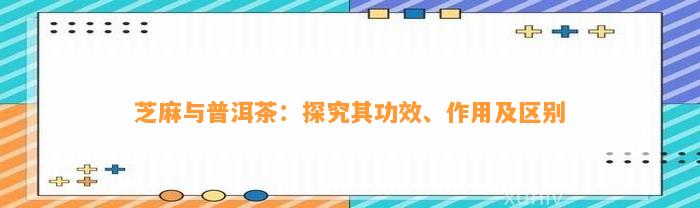 芝麻与普洱茶：探究其功效、作用及区别