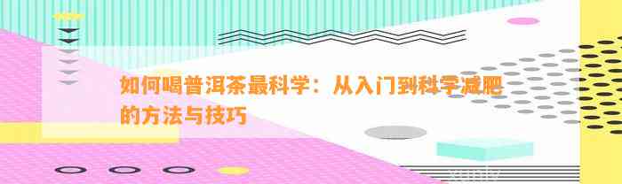 怎样喝普洱茶最科学：从入门到科学减肥的方法与技巧