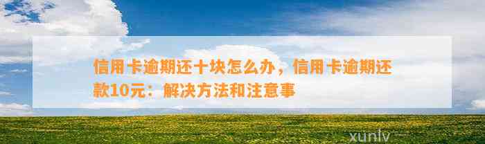 信用卡逾期还十块怎么办，信用卡逾期还款10元：解决方法和注意事