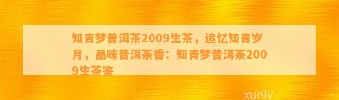 知青梦普洱茶2009生茶，追忆知青岁月，品味普洱茶香：知青梦普洱茶2009生茶鉴