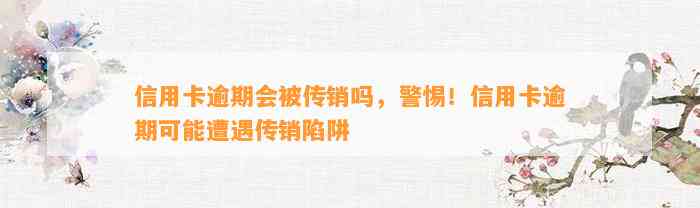 信用卡逾期会被传销吗，警惕！信用卡逾期可能遭遇传销陷阱