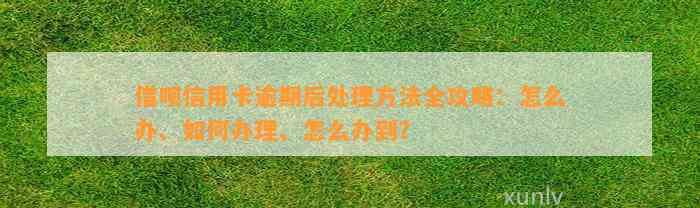 借呗信用卡逾期后处理方法全攻略：怎么办、如何办理、怎么办到？