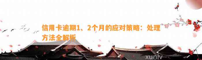 信用卡逾期1、2个月的应对策略：处理方法全解析