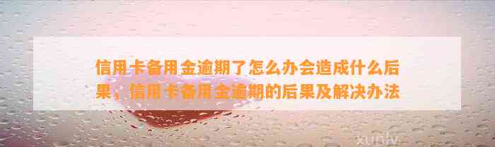 信用卡备用金逾期了怎么办会造成什么后果，信用卡备用金逾期的后果及解决办法