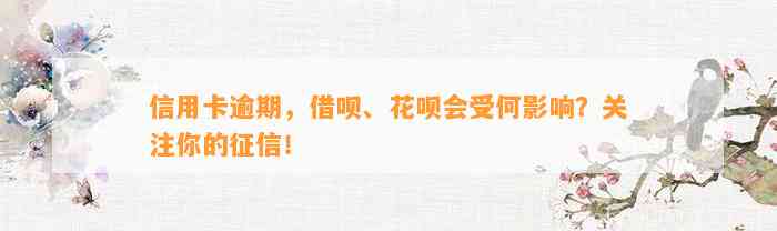 信用卡逾期，借呗、花呗会受何影响？关注你的征信！