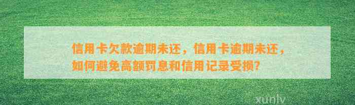 信用卡欠款逾期未还，信用卡逾期未还，如何避免高额罚息和信用记录受损？