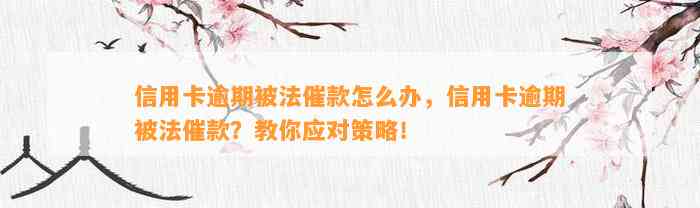 信用卡逾期被法催款怎么办，信用卡逾期被法催款？教你应对策略！