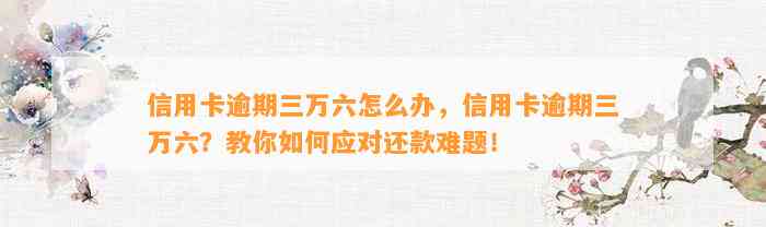 信用卡逾期三万六怎么办，信用卡逾期三万六？教你如何应对还款难题！