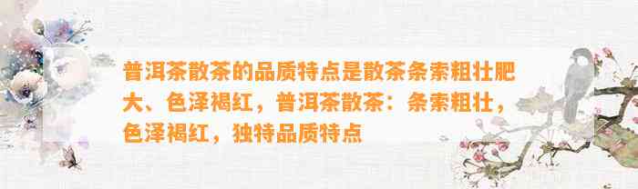 普洱茶散茶的品质特点是散茶条索粗壮肥大、色泽褐红，普洱茶散茶：条索粗壮，色泽褐红，特别品质特点