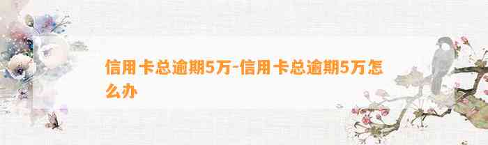 信用卡总逾期5万-信用卡总逾期5万怎么办