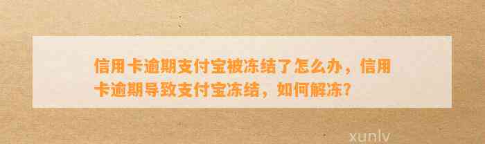 信用卡逾期支付宝被冻结了怎么办，信用卡逾期导致支付宝冻结，如何解冻？