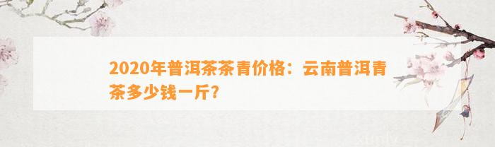 2020年普洱茶茶青价格：云南普洱青茶多少钱一斤？