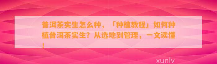 普洱茶实生怎么种，「种植教程」怎样种植普洱茶实生？从选地到管理，一文读懂！