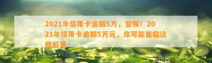 2021年信用卡逾期5万，警惕！2021年信用卡逾期5万元，你可能面临这些后果