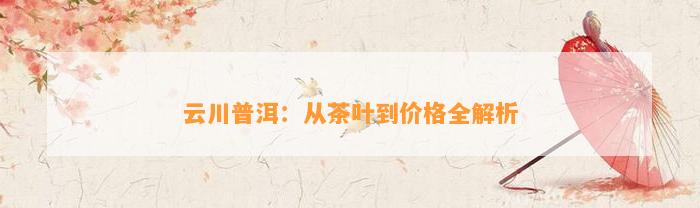 云川普洱：从茶叶到价格全解析