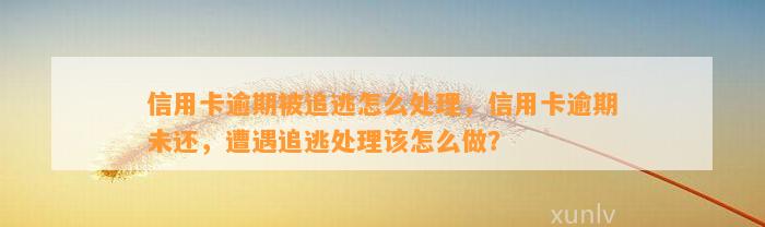 信用卡逾期被追逃怎么处理，信用卡逾期未还，遭遇追逃处理该怎么做？