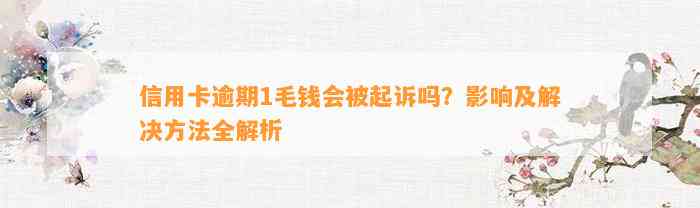 信用卡逾期1毛钱会被起诉吗？影响及解决方法全解析