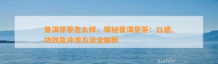 普洱芽茶怎么样，探秘普洱芽茶：口感、功效及冲泡方法全解析