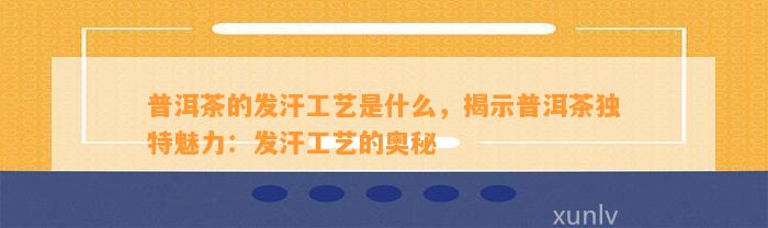 普洱茶的发汗工艺是什么，揭示普洱茶特别魅力：发汗工艺的奥秘