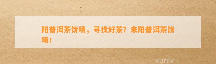 阳普洱茶饼场，寻找好茶？来阳普洱茶饼场！