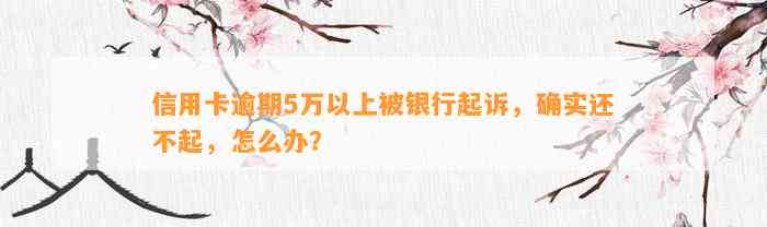 信用卡逾期5万以上被银行起诉，确实还不起，怎么办？