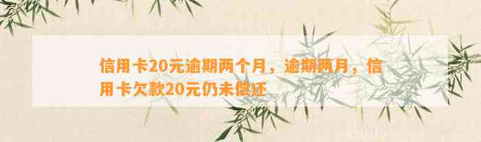 信用卡20元逾期两个月，逾期两月，信用卡欠款20元仍未偿还