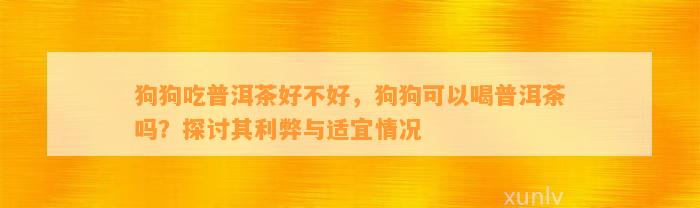 狗狗吃普洱茶好不好，狗狗可以喝普洱茶吗？探讨其利弊与适宜情况