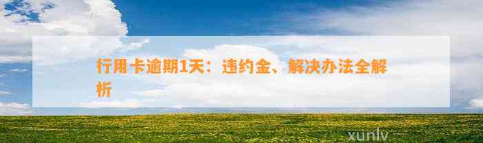 行用卡逾期1天：违约金、解决办法全解析