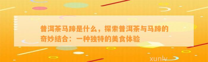 普洱茶马蹄是什么，探索普洱茶与马蹄的奇妙结合：一种特别的美食体验