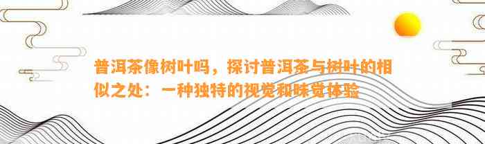 普洱茶像树叶吗，探讨普洱茶与树叶的相似之处：一种特别的视觉和味觉体验