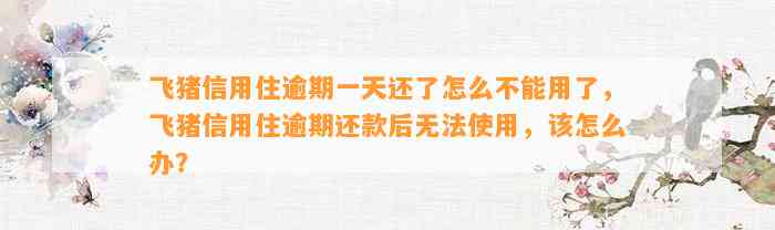 飞猪信用住逾期一天还了怎么不能用了，飞猪信用住逾期还款后无法使用，该怎么办？