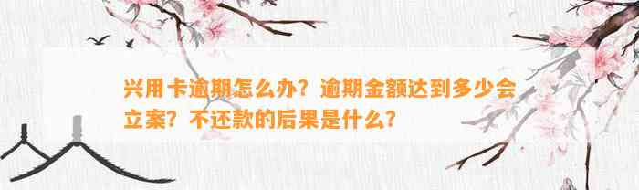 兴用卡逾期怎么办？逾期金额达到多少会立案？不还款的后果是什么？