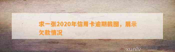 求一张2020年信用卡逾期截图，展示欠款情况