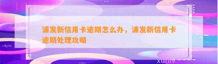 浦发新信用卡逾期怎么办，浦发新信用卡逾期处理攻略