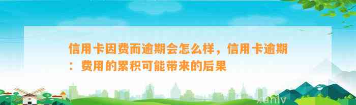 信用卡因费而逾期会怎么样，信用卡逾期：费用的累积可能带来的后果