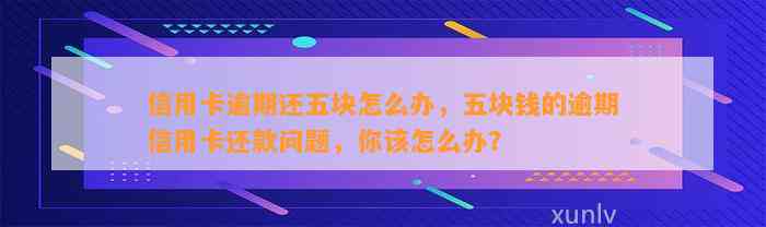 信用卡逾期还五块怎么办，五块钱的逾期信用卡还款问题，你该怎么办？