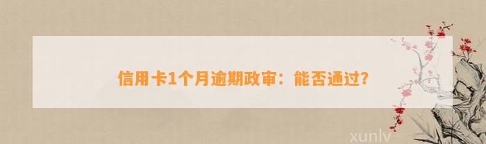 信用卡1个月逾期政审：能否通过？