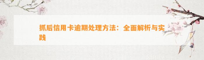 抓后信用卡逾期处理方法：全面解析与实践