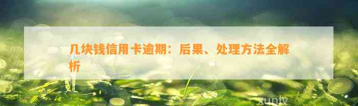 几块钱信用卡逾期：后果、处理方法全解析