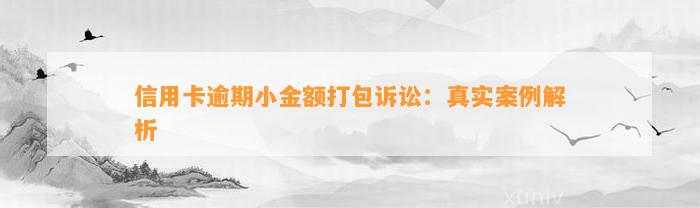 信用卡逾期小金额打包诉讼：真实案例解析