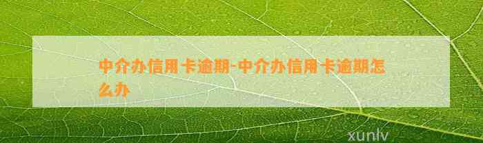 中介办信用卡逾期-中介办信用卡逾期怎么办