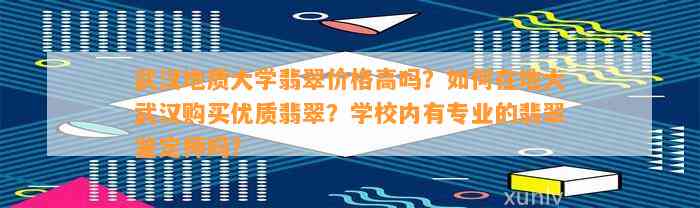 武汉地质大学翡翠价格高吗？怎样在地大武汉购买优质翡翠？学校内有专业的翡翠鉴定师吗？