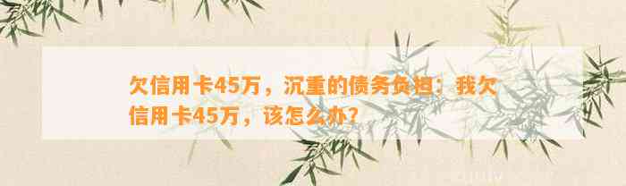 欠信用卡45万，沉重的债务负担：我欠信用卡45万，该怎么办？