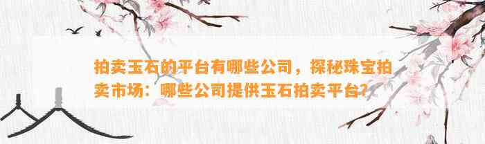 拍卖玉石的平台有哪些公司，探秘珠宝拍卖市场：哪些公司提供玉石拍卖平台？