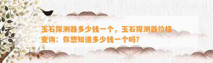 玉石探测器多少钱一个，玉石探测器价格查询：你想知道多少钱一个吗？