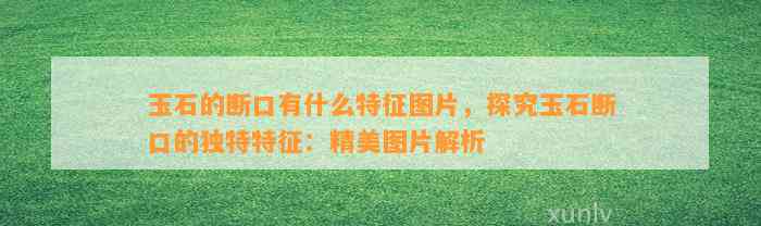 玉石的断口有什么特征图片，探究玉石断口的特别特征：精美图片解析