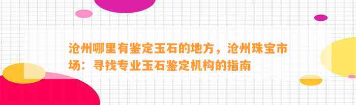 沧州哪里有鉴定玉石的地方，沧州珠宝市场：寻找专业玉石鉴定机构的指南