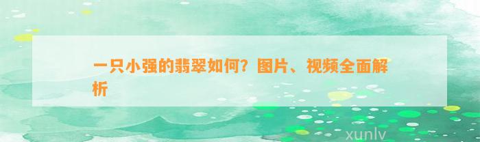 一只小强的翡翠怎样？图片、视频全面解析