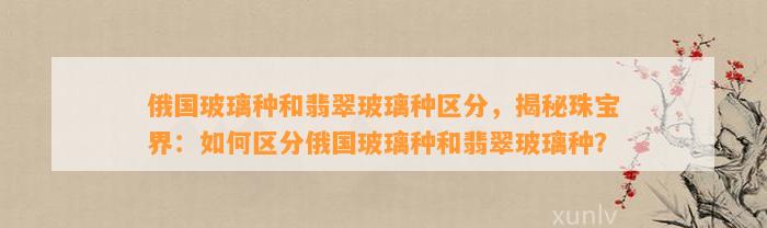 俄国玻璃种和翡翠玻璃种区分，揭秘珠宝界：怎样区分俄国玻璃种和翡翠玻璃种？